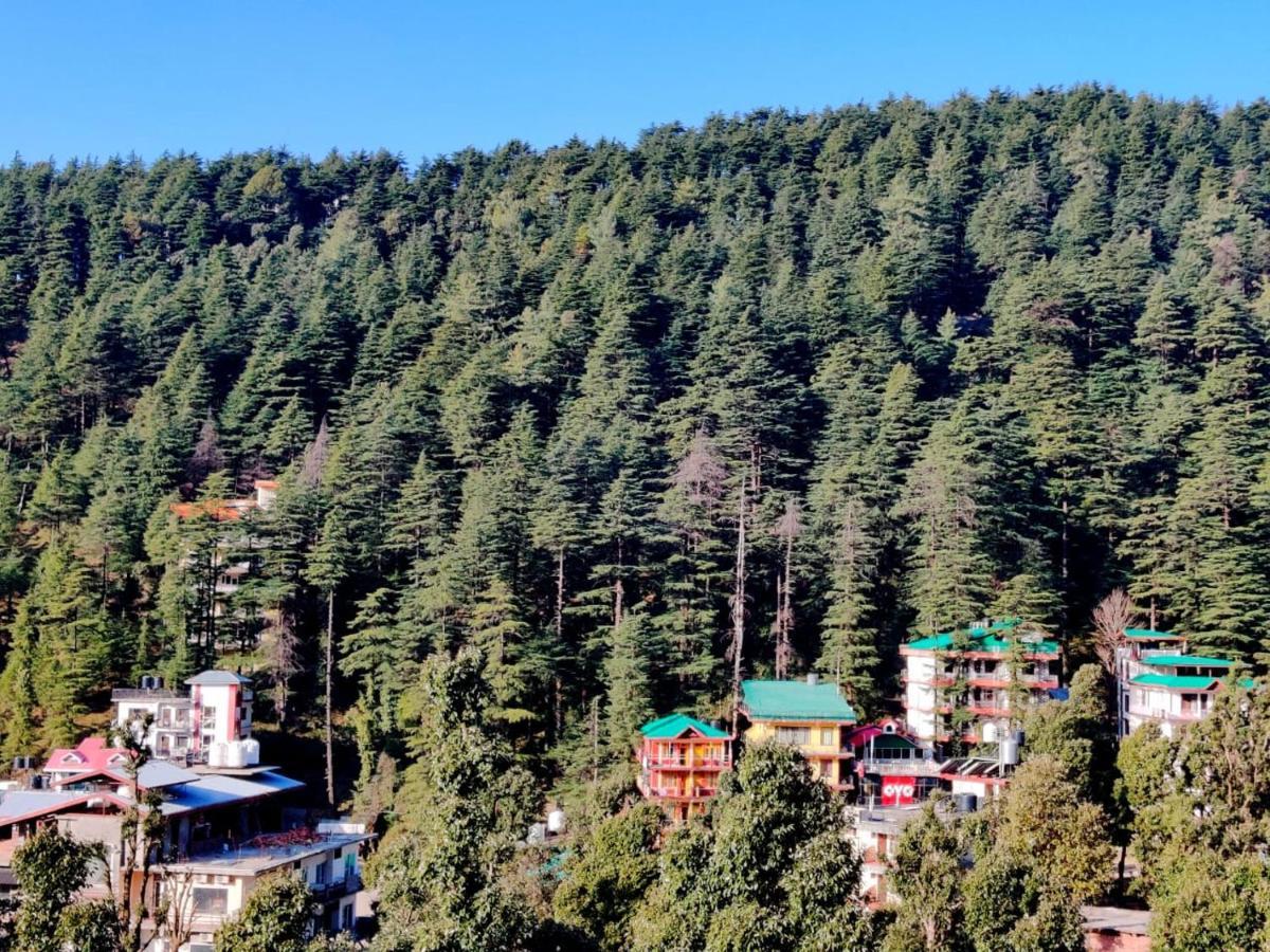 Nomadic Inn Dharamsala Zewnętrze zdjęcie
