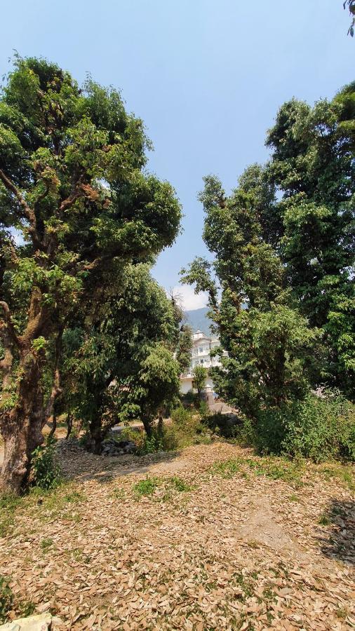 Nomadic Inn Dharamsala Zewnętrze zdjęcie